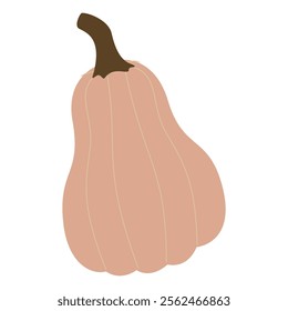 Butternut squash or sweet pumpkin with stem isolated on white background. Whole yellow or orange autumn vegetable. Hand drawn colorful textured flat vector illustration, design element