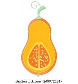 Butternut Squash vector. Cucurbita moschata. Butternut pumpkin or gramma. flat design. simple design. vegetable theme.