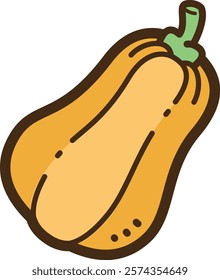 Butternut squash vector doodle illustration and graphic