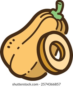 Butternut squash vector doodle illustration and graphic