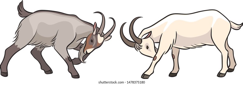 Butting goats. Vector illustration. EPS8