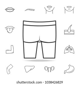 Buttocks icon. Detailed set of human body part icons. Premium quality graphic design. One of the collection icons for websites, web design, mobile app on white background