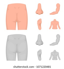 Buttocks, nose, arm, foot. Part of the body set collection icons in cartoon,monochrome style vector symbol stock illustration web.