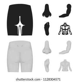 Buttocks, nose, arm, foot. Part of the body set collection icons in black,monochrome style vector symbol stock illustration web.