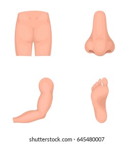 Buttocks, nose, arm, foot. Part of the body set collection icons in cartoon style vector symbol stock illustration web.