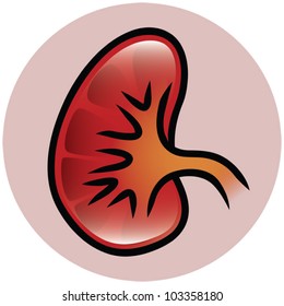 A button or icon of a kidney. Eps 10 Vector.