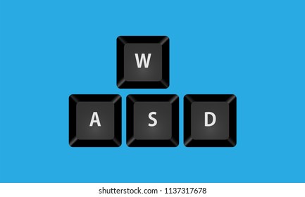 Button key WASD vector isolated close up 