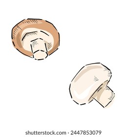 button mushroom cartoon drawing vector