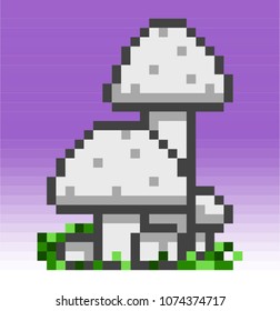 The Button Mushroom. Pixel Art. Vector.