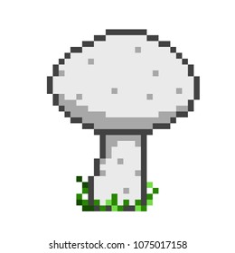The Button Mushroom. Pixel Art. Vector.