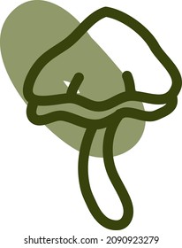 Button mushrooms, illustration, vector, on a white background.
