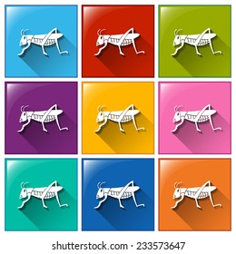 Buttons with grasshoppers on a white background 