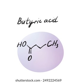 Butyric acid (butanoic acid) molecule formula. Hand drawn imitation of organic acid structural model, Esters and salts are called butyrates chemistry skeletal formula, sketchy vector symbol