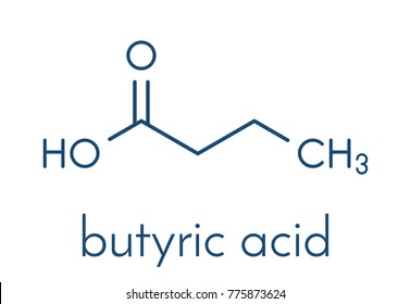 Butyric acid (butanoic acid) short-chain fatty acid molecule. Esters and salts are called butyrates. Skeletal formula.