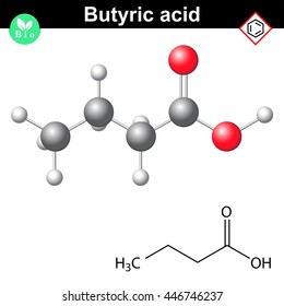 Butyric acid molecule, 2d and 3d illustration of molecular structure, vector on white background, eps 8