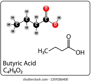 Butyric Acid Molecule Structure