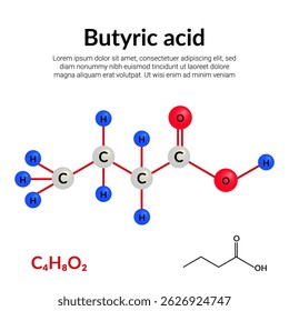 Ácido butírico ou butanóico, fórmula de estrutura molecular, modelo bola-e-vara, adequado para a educação ou conteúdo de ciência química. Ilustração vetorial