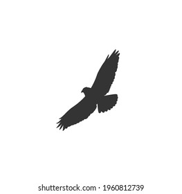 Buzzard bird flying silhouette vector on a white background