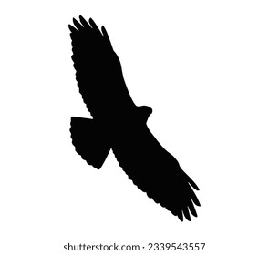 Buzzard bird silhouette isolated on white background. Common Buzzard icon. vector illustration