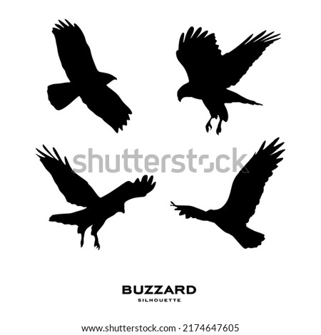 Buzzard silhouette. Common Buzzard bird silhouette isolated on white background. vector illustration ストックフォト © 
