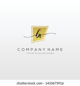 BV handwriting initial logo template vector.
