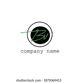 BV initial beauty monogram and elegant logo design