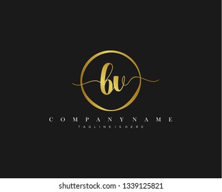 BV initial handwriting logo template vector