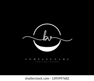 BV initial handwriting logo template vector