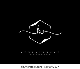 BV initial handwriting logo template vector