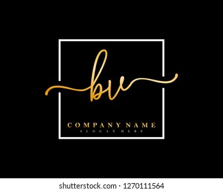 BV Initial handwriting square minimalist logo vector