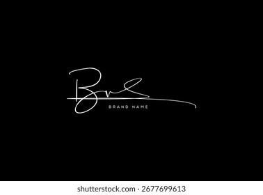 BV letter elegant cursive beauty handwriting logo.