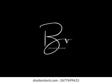 BV letter elegant cursive beauty handwriting logo.