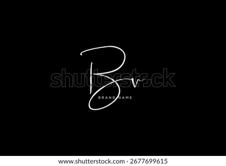 BV letter elegant cursive beauty handwriting logo.
