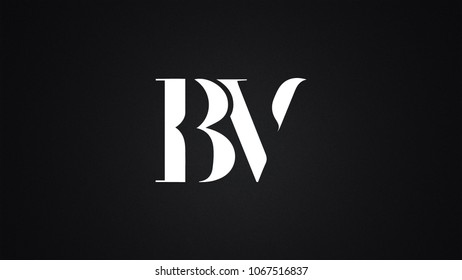 BV Letter Logo Design Template Vector