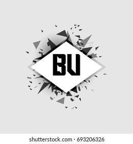 BV Logo