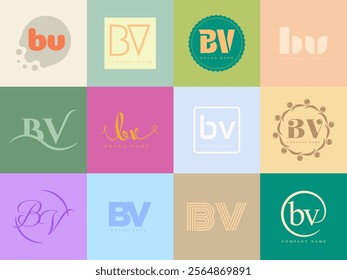 BV logo company template. Letter b and v logotype. Set different classic serif lettering and modern bold text with design elements. Initial font typography. Collection trendy business identity.