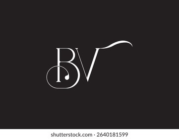BV Logo Design Creative and Modern Logo Design