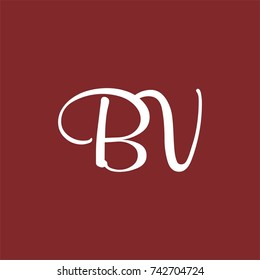 BV logo initial letter design template vector