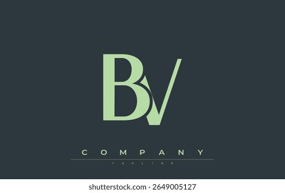BV Modern Initials Logo Design. Branding logo with stylized initials showcasing bold design and modern aesthetic. Ideal for professional business branding or creative projects focusing on minimalistic