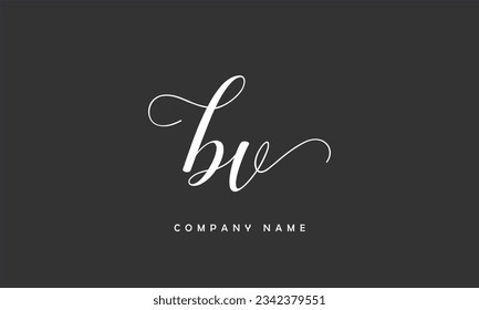 BV, VB Abstract Letters Logo Monogram