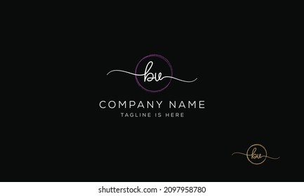 BV VB Signature initial logo template vector