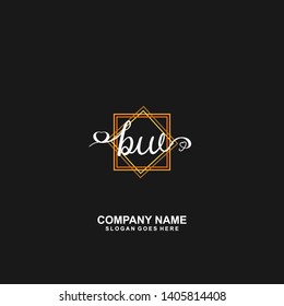 BW Initial handwriting logo vector