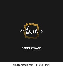 BW Initial handwriting logo vector