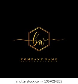 BW Initial luxury handwriting logo vector