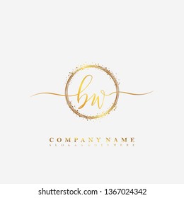BW Initial luxury handwriting logo vector