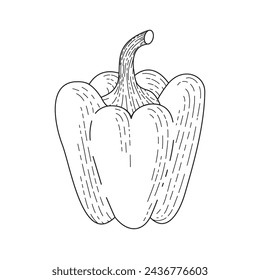 BW vector illustration of food. Fresh bell pepper. Vegetables for vegetarians. Healthy eating. Agricultural culture	
