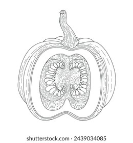 BW vector illustration of food. Pumpkin. Realistic vector drawn illustration. Ingredients for cooking healthy food. Delicious vegetarian food. Growing vegetables	
