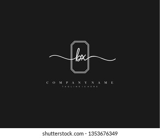 BX initial handwriting logo template vector