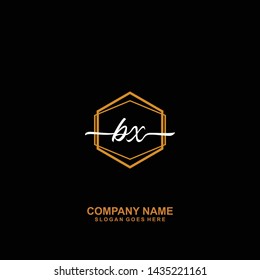 BX Initial handwriting logo template vector