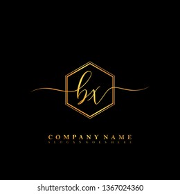 BX Initial luxury handwriting logo vector